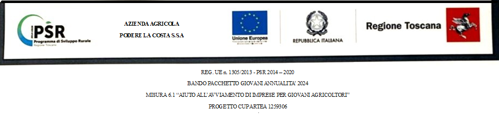 Banner Promozionale